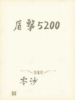 盾击5200