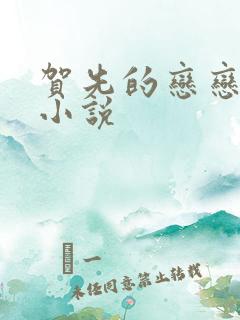 贺先的恋恋不忘小说