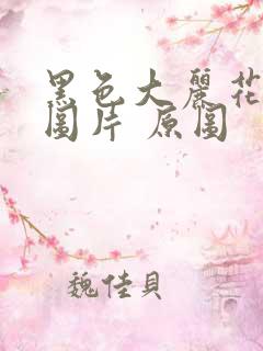 黑色大丽花真实图片 原图