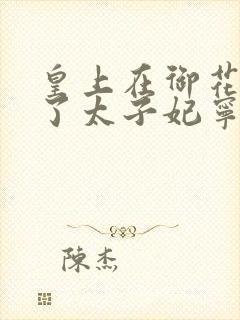 皇上在御花园C了太子妃宁儿