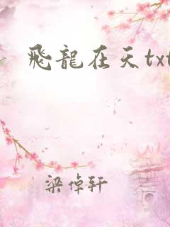 飞龙在天txt