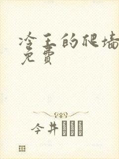冷王的爬墙丑妃免费