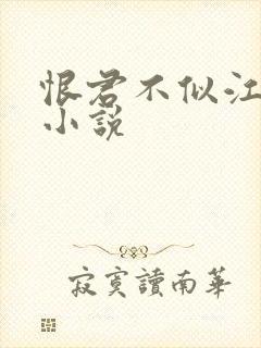 恨君不似江楼月小说