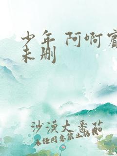少年 阿啊宾文未删