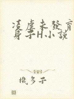 凌虐未发育的小身子H小说