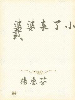 婆婆来了小说下载