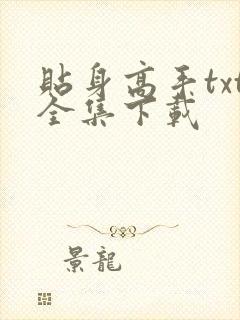 贴身高手txt全集下载