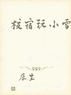 校宿玩小雪