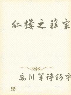 红楼之薛家有子