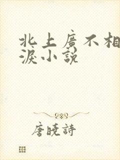 北上广不相信眼泪小说