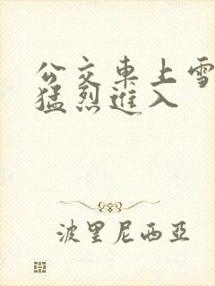 公交车上雪柔被猛烈进入