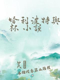 哈利波特与火焰杯 小说