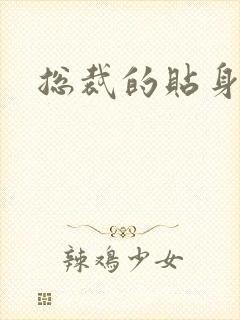 总裁的贴身冷秘