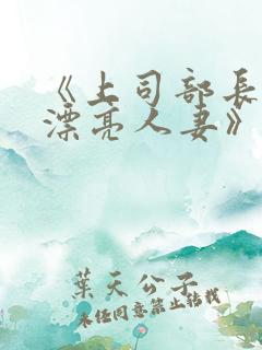 《上司部长出轨漂亮人妻》