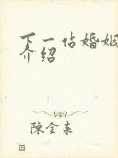 下一站婚姻剧情介绍