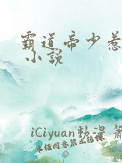 霸道帝少惹不得 小说