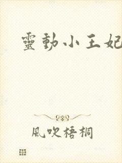 灵动小王妃