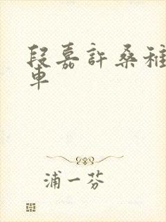 段嘉许桑稚浴室车