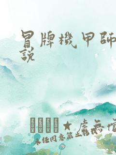 冒牌机甲师 小说