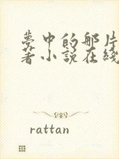 梦中的那片海原著小说在线阅读