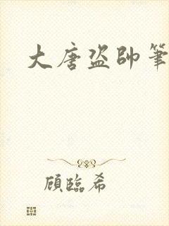 大唐盗帅笔趣阁