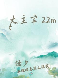 大主宰 22mt