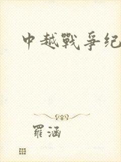 中越战争纪实录