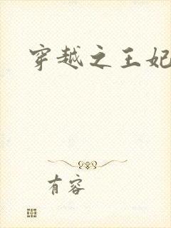 穿越之王妃有孕