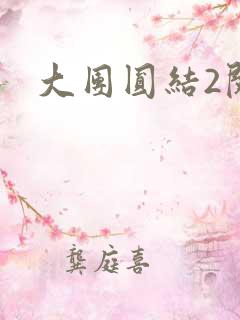 大团圆结2阅读