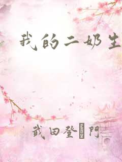 我的二奶生涯