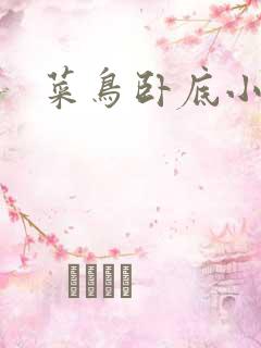 菜鸟卧底小正太