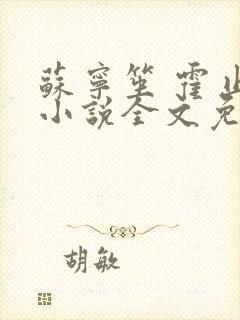 苏宁笙 霍止行小说全文免费阅读