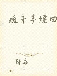 魂牵梦绕回大清