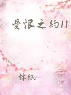 爱恨之约11