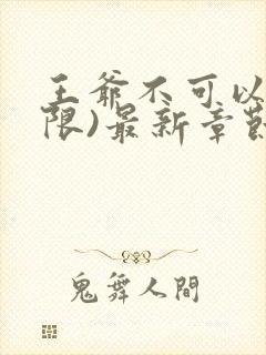 王爷不可以!(限)最新章节