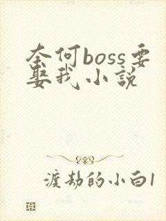 奈何boss要娶我小说