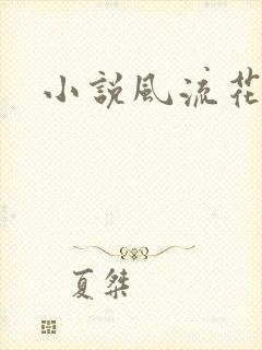 小说风流花少