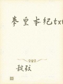 拳皇本纪txt