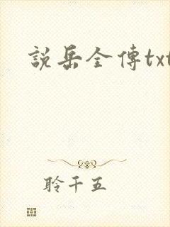 说岳全传txt