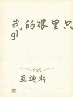 我的眼里只有你gl