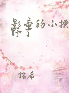 影帝的小撩精太野了