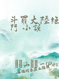 斗罗大陆绝世唐门 小说