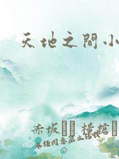 天地之间小说