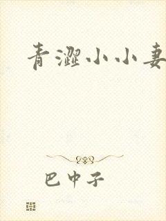 青涩小小妻