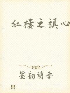 红楼之禛心锁玉