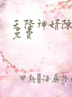 天降神婿陈黄皮免费