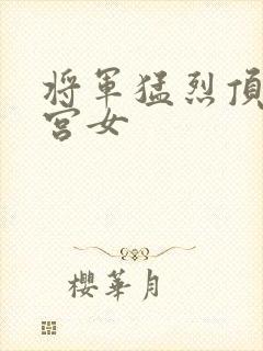 将军猛烈顶弄h宫女