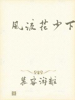 风流花少下载