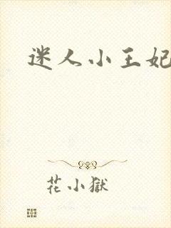 迷人小王妃