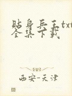 贴身兵王txt全集下载